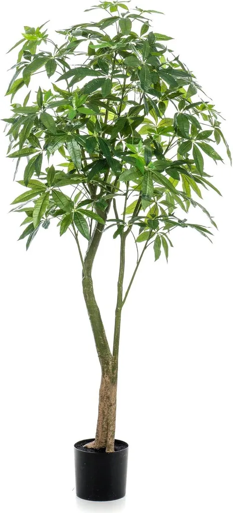 Pachira Aquatica Artificiel 180 cm - Châtaignier de la Chance Déco