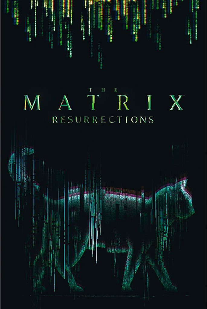 Lizenziertes Science-Fiction-Klassiker Film Poster Matrix mit Cat Design 61x91,5 cm