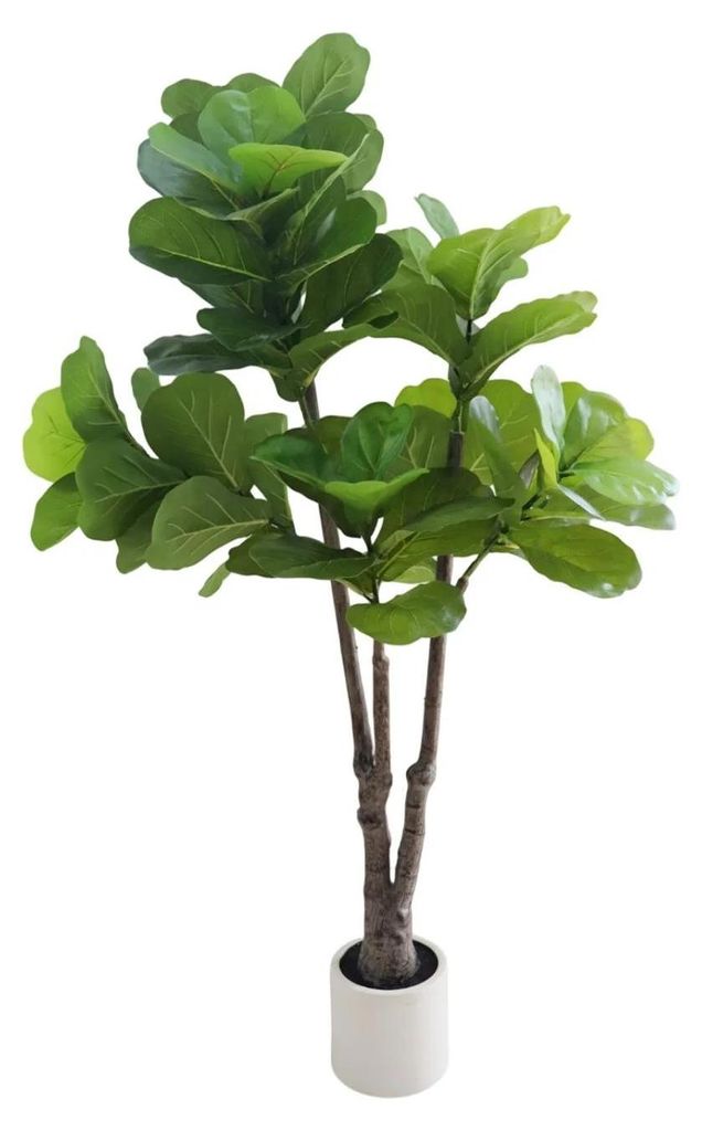 Ficus lyrata Geigenfeige - Künstlicher Baum im Topf - 150 cm hoch - Bodenpflanze für Innenräume - Kunststoff - Milchweiß
