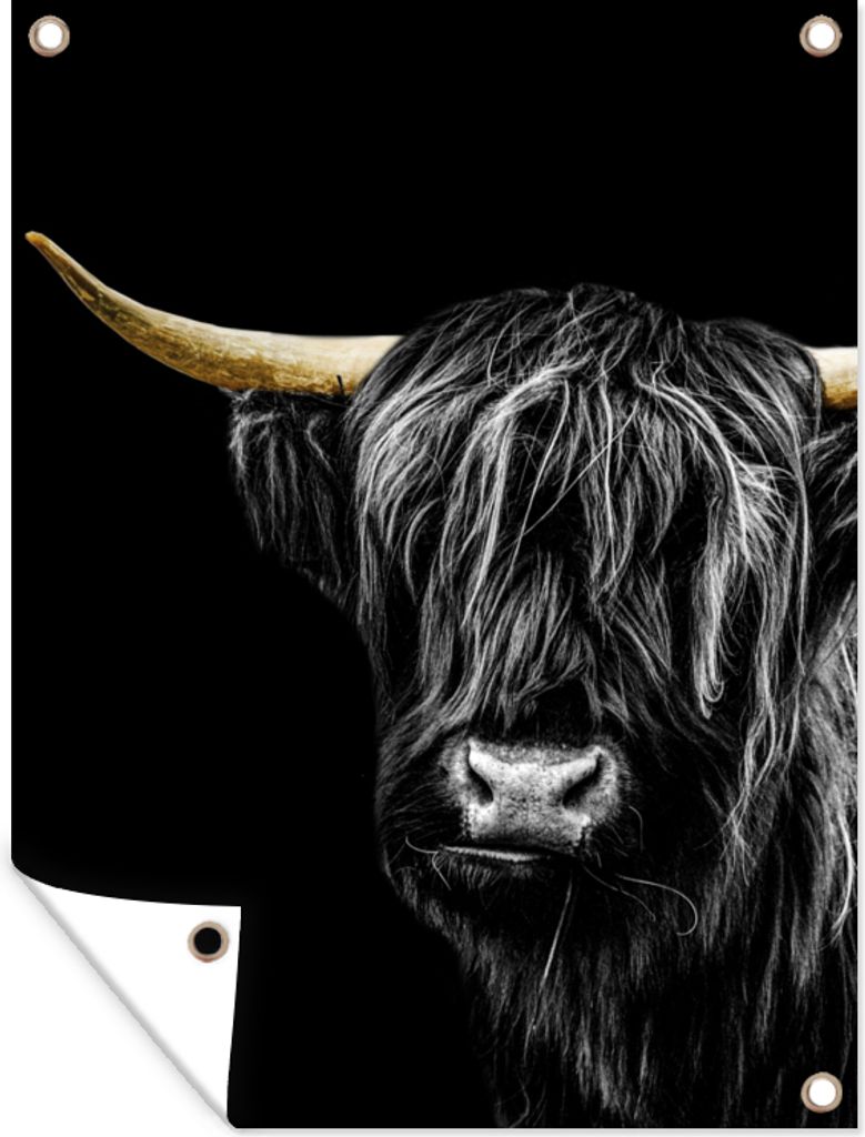 MuchoWow 90x120 cm Outdoor-Poster Gartendeko Sichtschutz Garten Poster für den Garten Schottischer Highlander - Horn - Gold