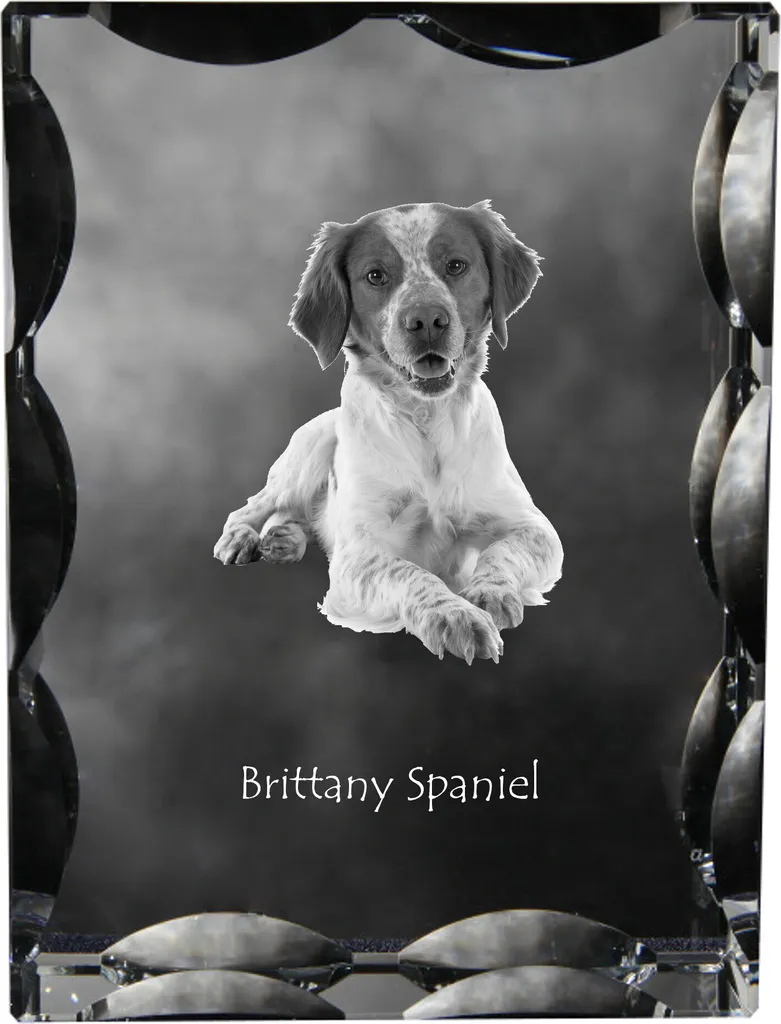 Occasione! Cristallo Art-Dog Spagnolo Bretone - Cornice Foto Unica