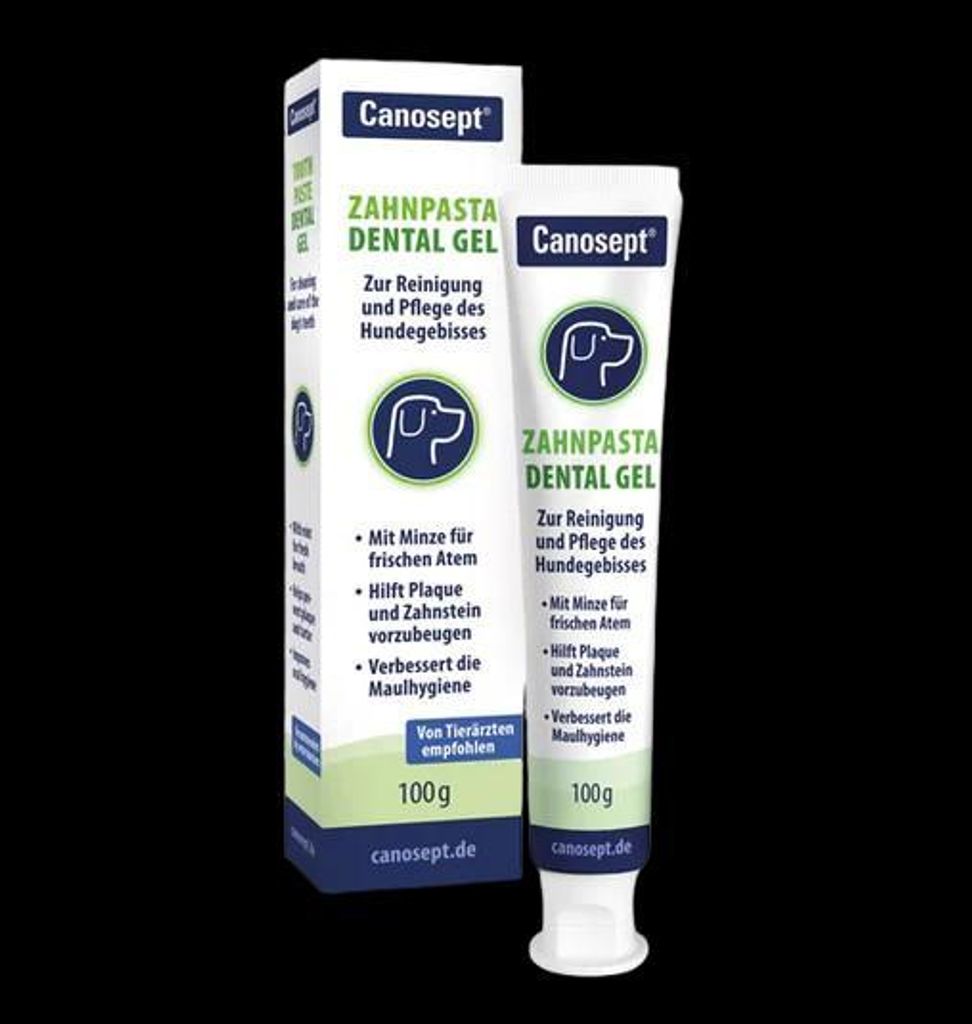 Canosept Zahnpasta Dental Gel | 100 g