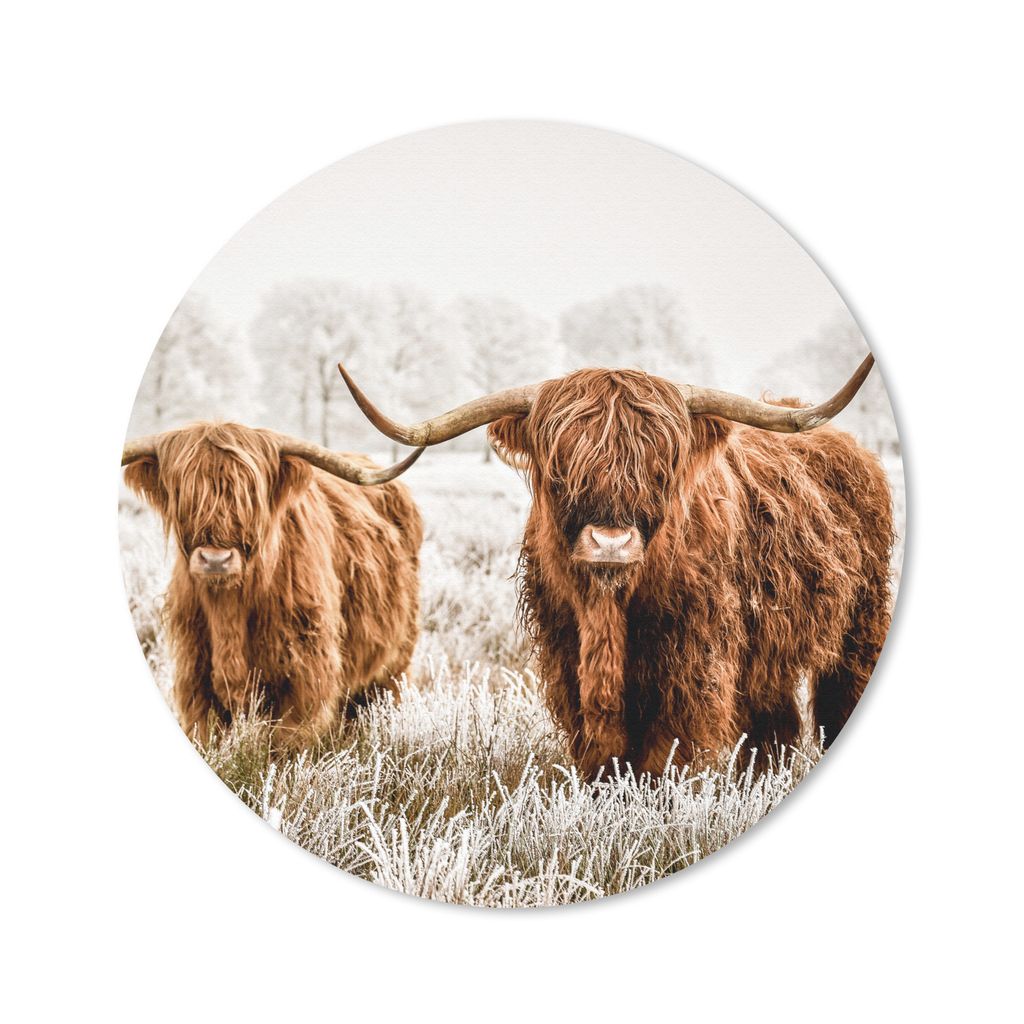 MuchoWow Mauspad Mousepad Schottischer Highlander - Kuh - Tiere 50x50 cm - Mousepads - Maus Mat - Pad - Mausunterlage - Vinyl