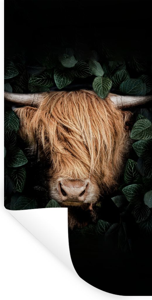 MuchoWow Wandtattoo Wandsticker Wandaufkleber Schottische Highlander - Tier - Flora 80x160 cm Selbstklebend und Repositionierbar - Sticker - Deko...