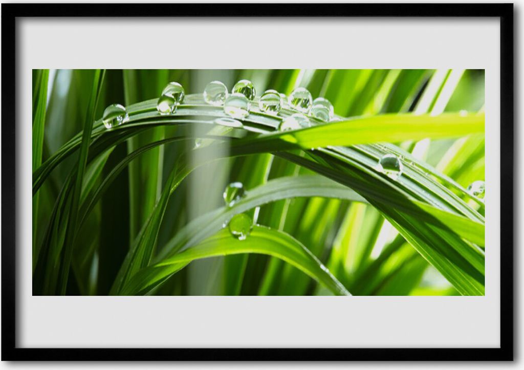 Bild 100x70 MDF-Rahmen Wandkunst Pflanze Gras Dew Drops