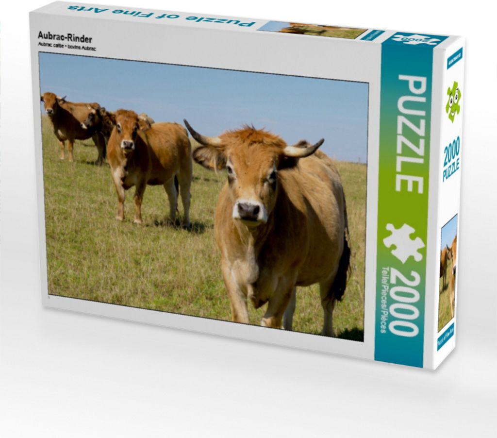 CALVENDO Puzzle Aubrac-Rinder 2000 Teile Puzzle quer | 2000 Teile Lege-Größe 90x67cm Foto-Puzzle für glückliche Stunden