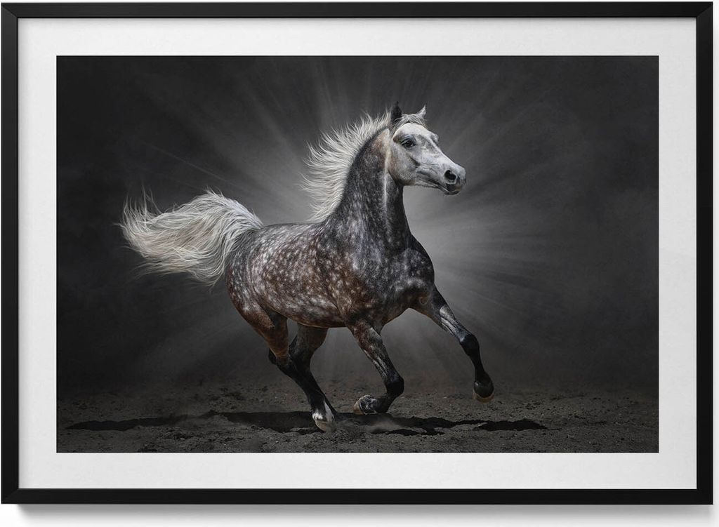 Galoppierendes Pferd– Wandbild mit Rahmen – Gerahmtes Bild – Wanddekoration – 100x70 cm – Schwarz Rahmen