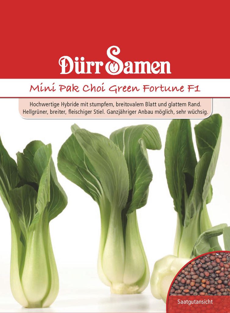 Artikelbild 1 von 'Mini Pak Choi Green Fortune F1' aus der Kategorie Pak Choisamen