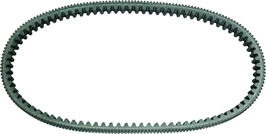 Courroie MALOSSI renforcée en polyamide 28.9 x 14.5 x 862 mm pour maxiscooter