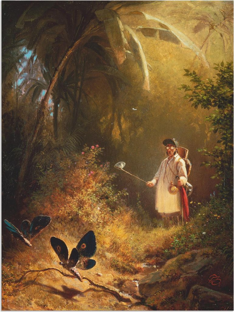 ARTland Wandbild Alu für Innen & Outdoor Der Schmetterlingsfänger Größe: 90x120 cm