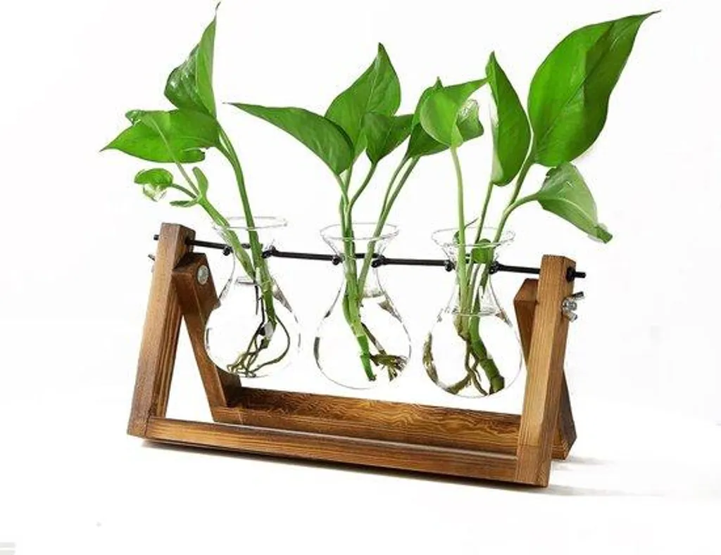 Décoration de bureau originale avec support bois et vases hydroponiques