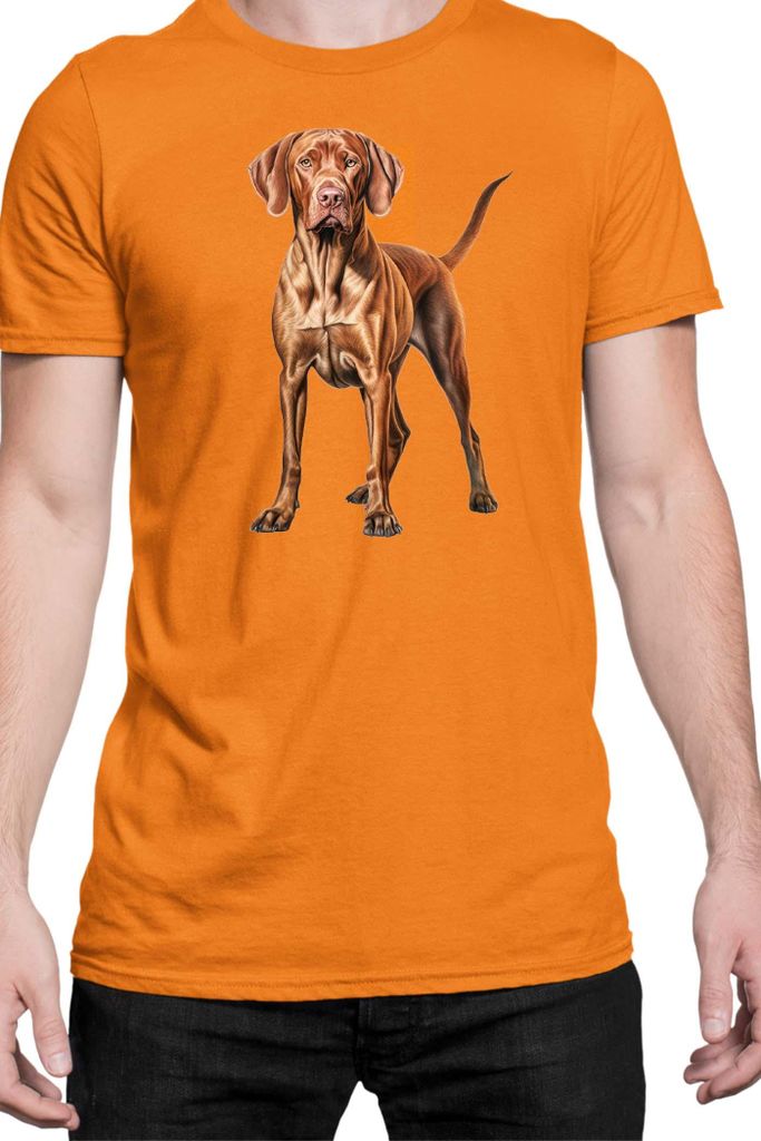 Herren T-Shirt Dogs Breeds Vizsla Dog Breed 006, Man XL / Orange
