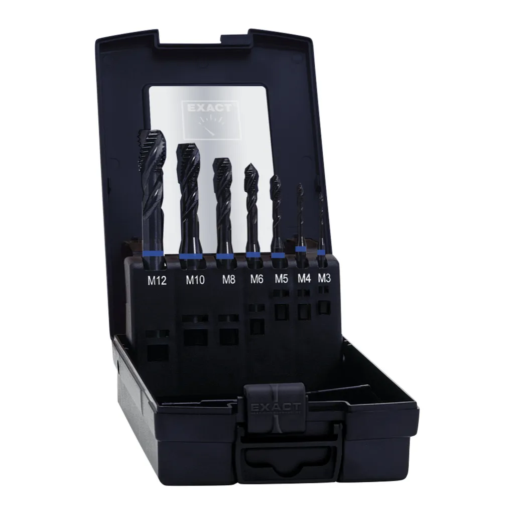 Set Maschi Exact HM7 43654 HSS-E VAP M3-M12 | Qualità Industriale