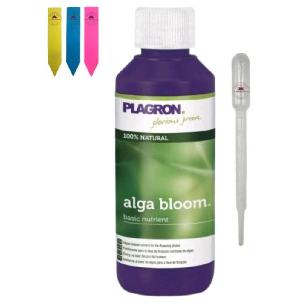 Plagron Alga Bloom 100 ml