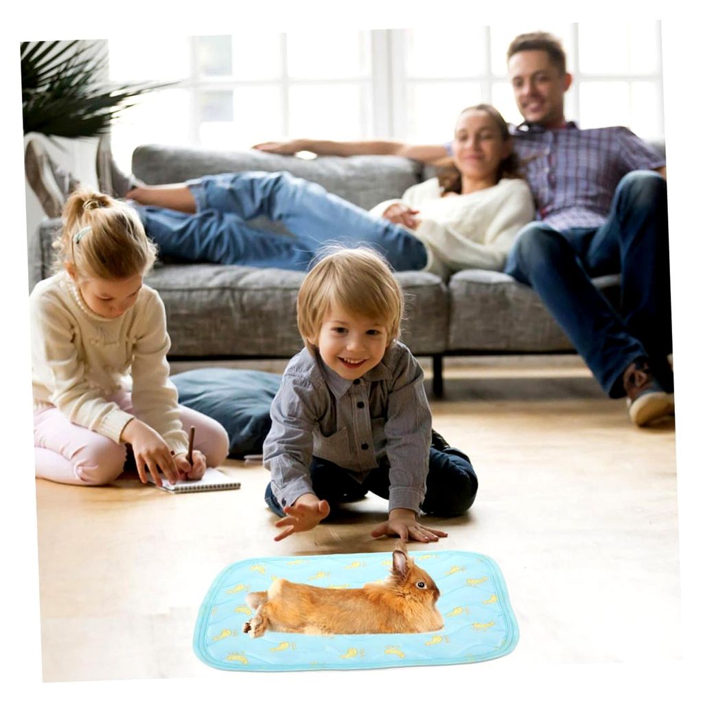 2 Stück Haustier Kühlmatten aus Stoff für Hamster und Kaninchen - Sommer Schlafmatte für Käfig, Sofa und Auto, langlebig und reißfest für kl...