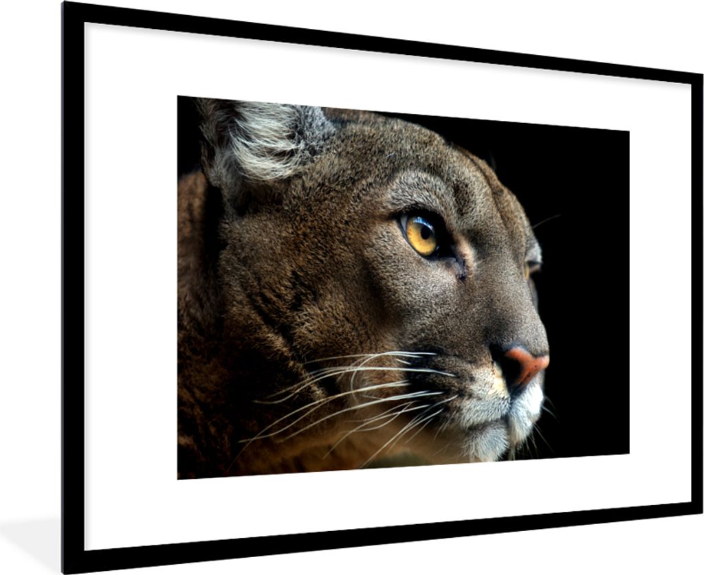 MuchoWow MuchoWow Gerahmtes Poster Cougar - Augen - Schwarz 90x60 cm - Poster mit zchwarzem Bilderrahmen - Wanddekoration - Fotos