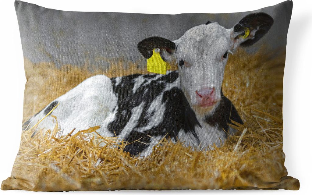 MuchoWow Outdoor Kissen - Kuh - Stroh - Kalb - Tier - 60x40 cm - Wetterfest - Lounge Kissen - Zierkissen - Kissen für Innenräume