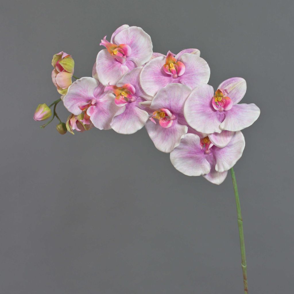artplants.de Kunststoff Phalaenopsis Orchidee WESA, rosa-weiß, 100cm - Künstlicher Orchideenzweig