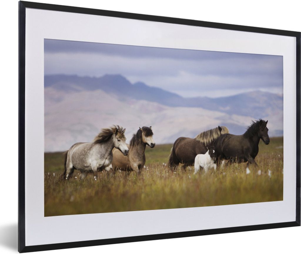 MuchoWow Gerahmtes Poster Pferde - Gras - Berge 60x40 cm - Poster mit Schwarzem Bilderrahmen Wandposter Rahmen Foto Bilder - Schlafzimmer - Plaka...