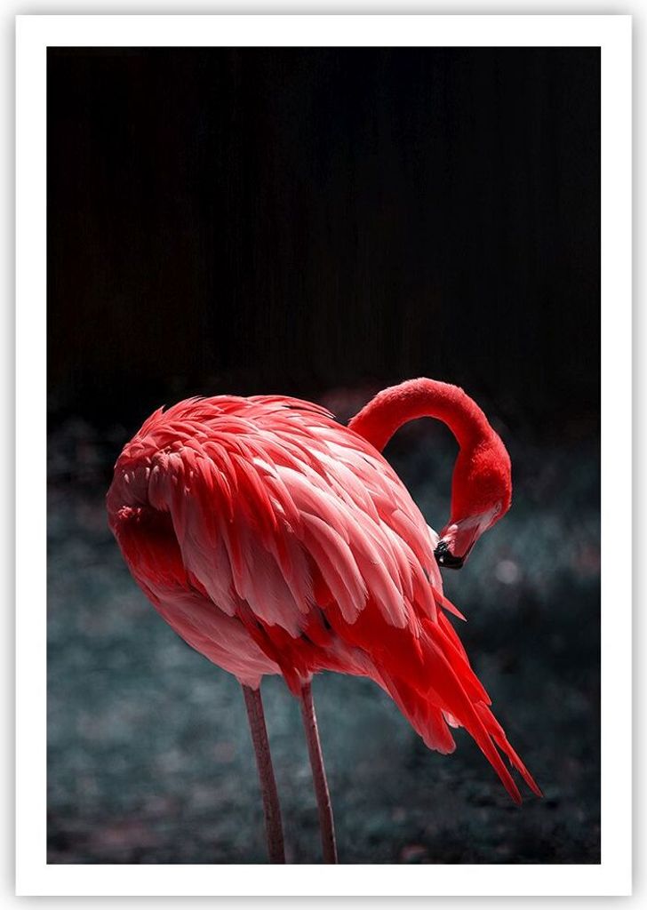 Poster - Poster ohne Rahmen - Flamingo Rosa Vogel - 70x100 cm - Wand Bild - Wanddeko - Wandbilder - Kunstposter - Wandposter - Bilder - Kunstdruck ...