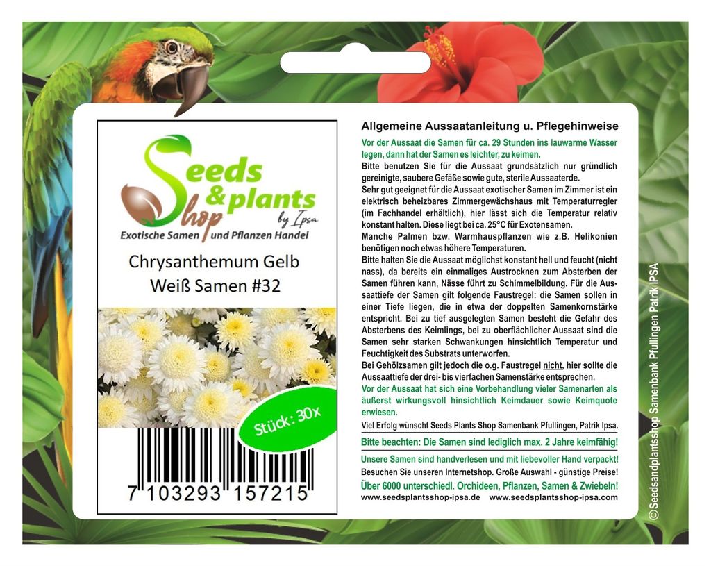 30x Chrysanthemum Gelb Weiß Blumen Pflanzen - Samen #32