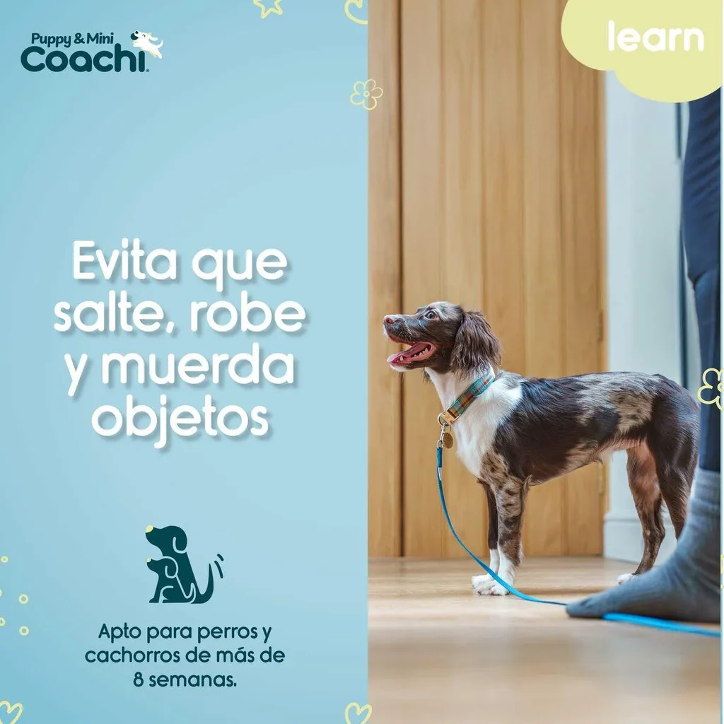 Pettorina per cani Coachi - 2