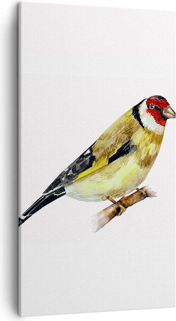 Bild auf Leinwand - Leinwandbild - Einteilig - Stieglitz Vogel Aquarell - 45x80cm - Wand Bild - Wanddeko - Wandbilder - Leinwanddruck - Bilder - Wa...