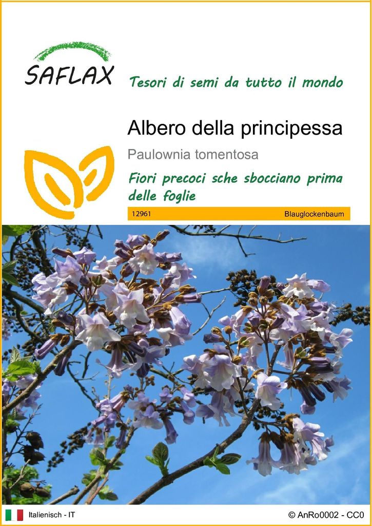 SAFLAX  - Albero della principessa - 200 semi - Paulownia Immagine del prodotto 
