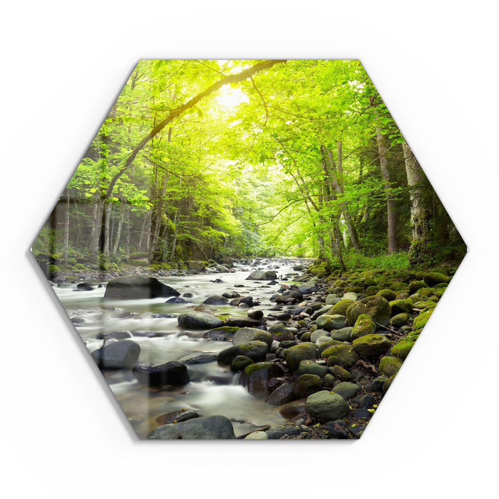 DEQORI Glasbild Echtglas 55x48 cm 'Steiniges Flussbett' Wandbild Bild modern Deko
