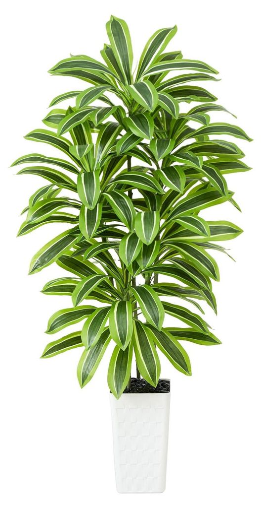 Künstliche Dracaena-Pflanze, künstlicher Baum mit weißem Pflanzgefäß, künstliche Yucca-Bodendeckerpflanze im Topf, künstliche Bäume für Zu...