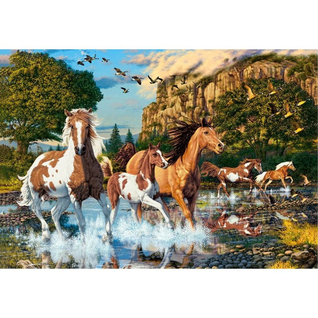 CASTORLAND Puzzle Pferdewunderland 1000 Teile Produktbild 