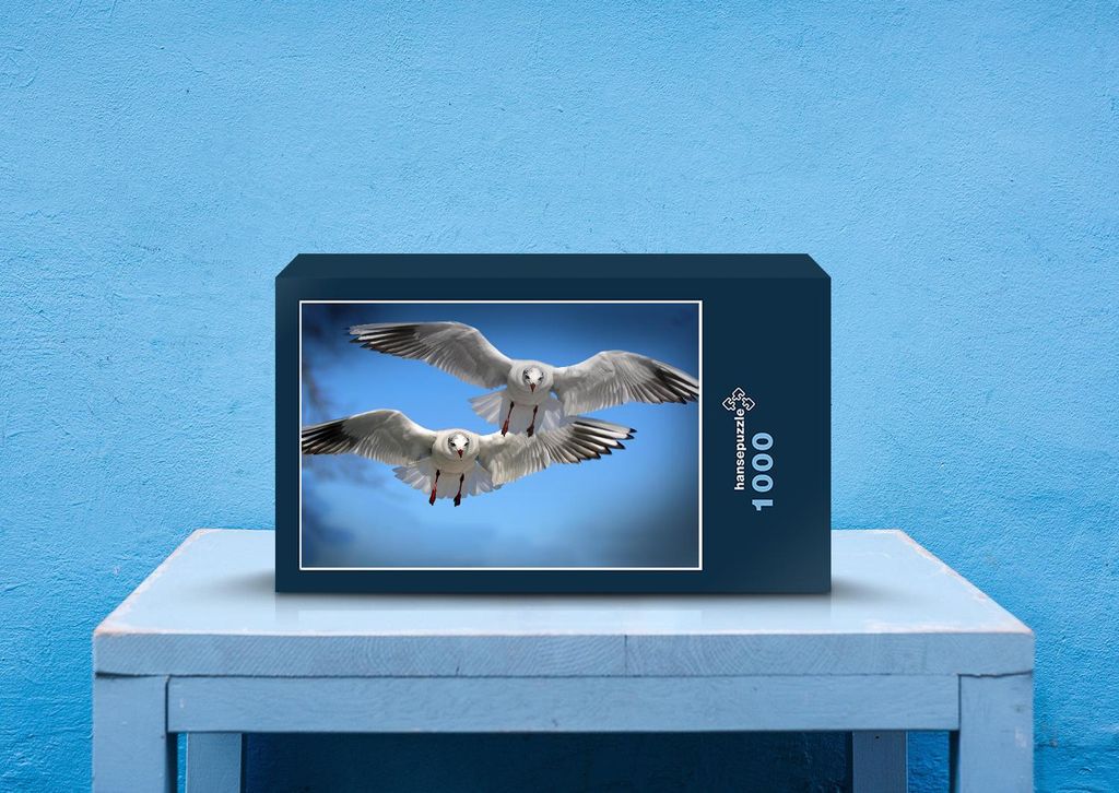 hansepuzzle 26408 - Möwen im Flug Puzzle, 1000 Teile, Tierwelt, 60,0 x 46,0cm mit hochwertiger Aufbewahrung, Kartonbox & Beutel