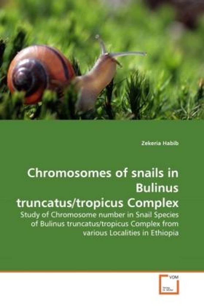 Chromosomen von Schnecken des Bulinus truncatus/tropicus-Komplexes