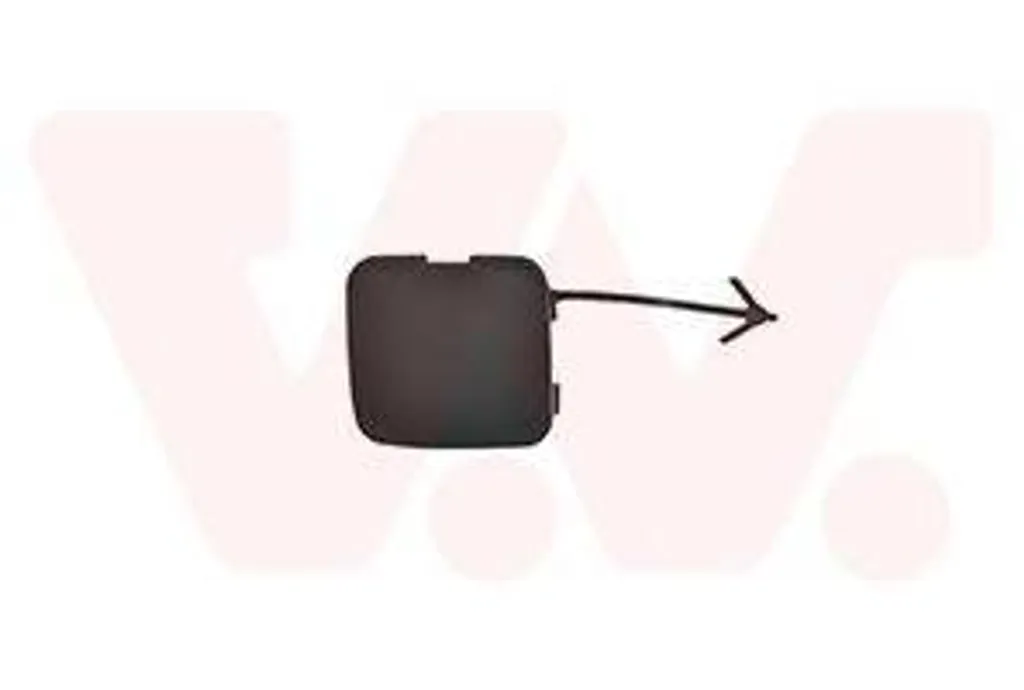 Renfort de hayon et cache crochet VAN WEZEL 4396588 ultra résistant ABS
