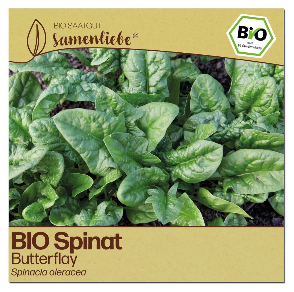 Samenliebe Spinat Samen | Butterflay - winterhart - samenfestes Saatgut