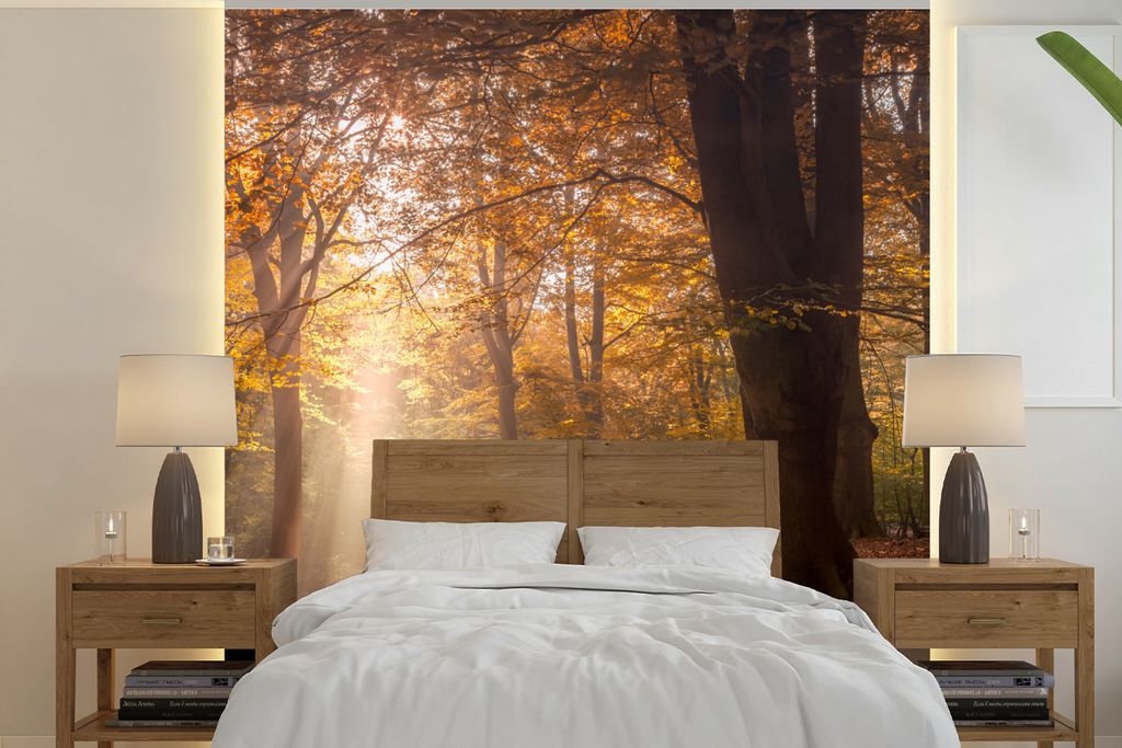 MuchoWow Fototapete für Wohnzimmer oder Schlafzimmer Wandtapete Vinyl Motivtapete Herbst - Licht - Wald - 240x240 cm - Schlafzimmer-Tapete