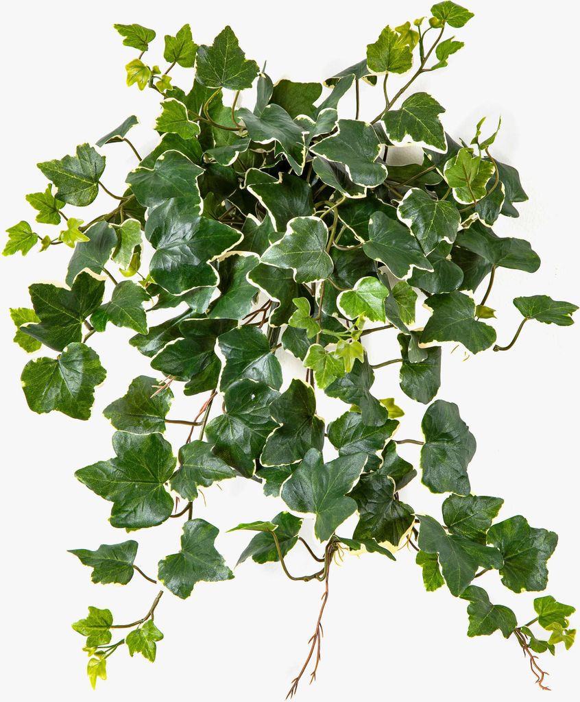 artplants.de Deko Efeu Ranken LINNEO auf Steckstab, crossdoor, grün-weiß, 50cm - Künstliche Efeuranke