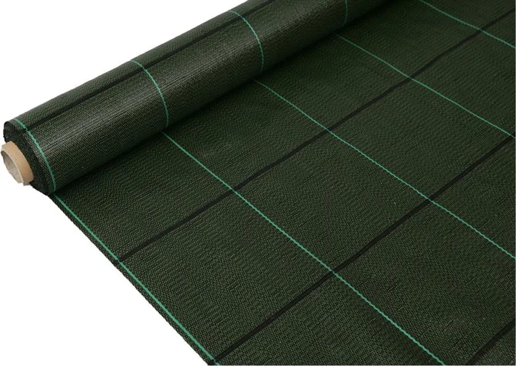 Toile de Paillage Professionnelle Verte 100g - Grand Format 2x100m