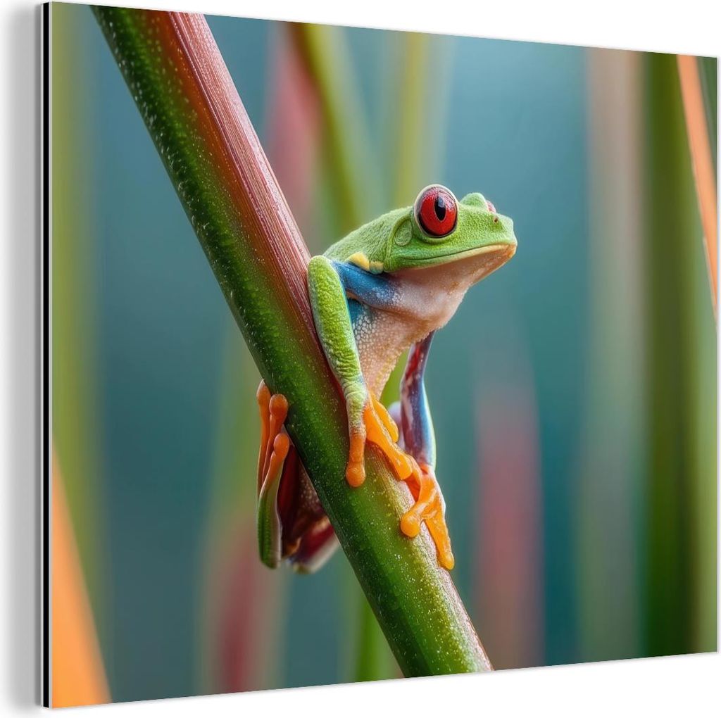 MuchoWow Wanddekoration Metall Metallbild Wandkunst 40x30 cm Bunter Frosch - Grüner Stiel - Alert MuchoWow Aluminium Gemälde - Dekoration Wohnzimmer
