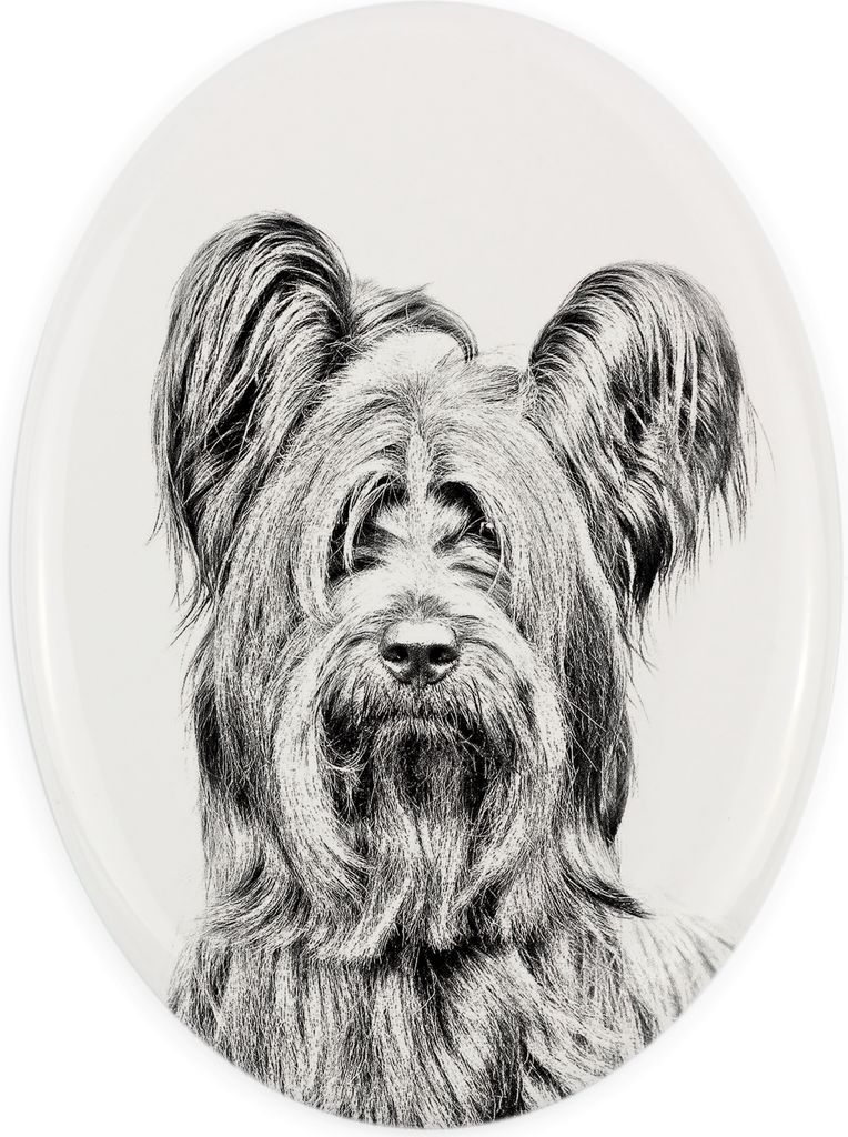 Skye Terrier - Gedenktafel mit einem Foto eines Hundes, Grabplatte mit Druck, personalisierte ovale Platte der Marke Art-Dog