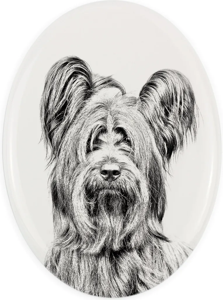 Lapide Cani Silky Terrier Personalizzata: Targa Ovale Art-Dog Originale