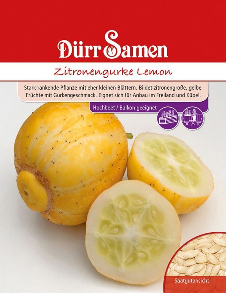 Zitronengurke Lemon | Zitronengurkensamen von Dürr Samen
