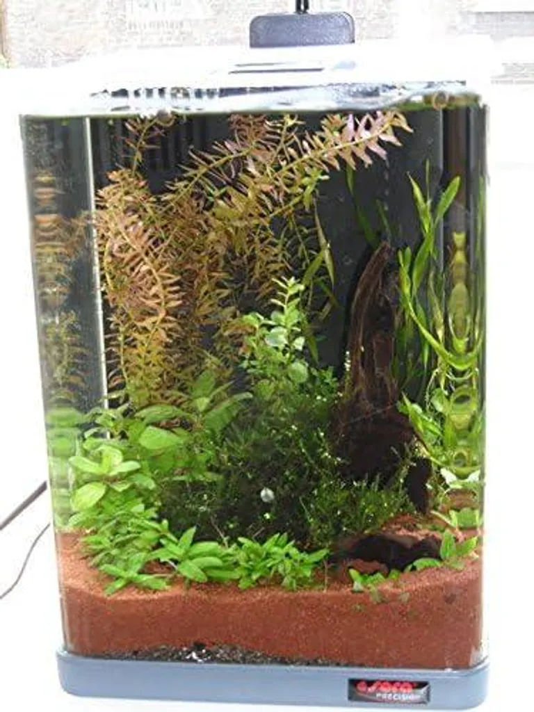 sera Nano LED Cube 16L avec éclairage LED basse consommation performant - 4