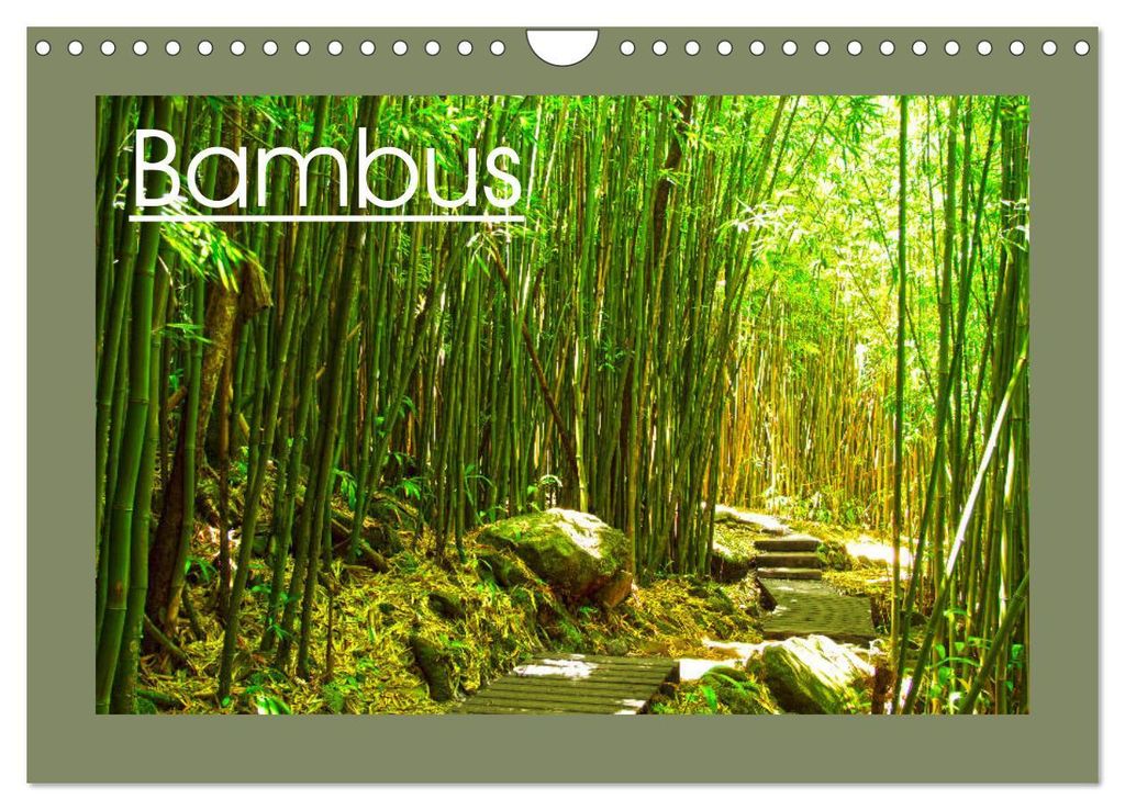 Bambus (Wandkalender 2027 DIN A4 quer), CALVENDO Monatskalender