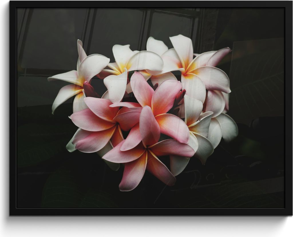 MuchoWow MuchoWow Gerahmtes Poster Blumen - Rosa - Schwarz - Flora - Botanisch 80x60 cm - Poster mit zchwarzem Bilderrahmen - Schwarzem - Mit G...