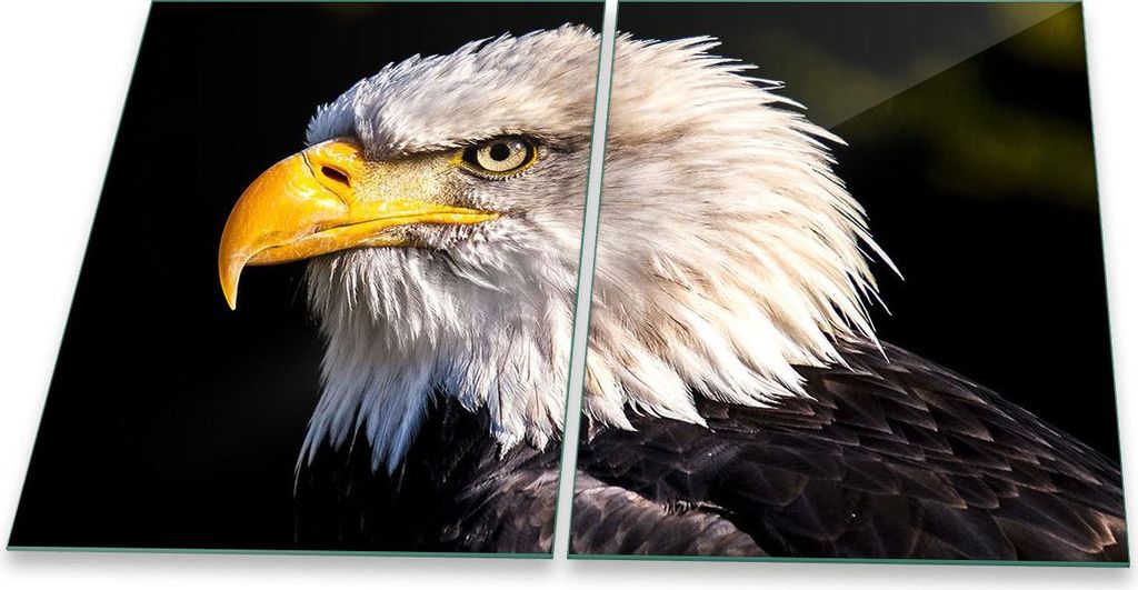 Herdabdeckplatte Glaskeramik 2-Teilig 2x40x52 Vogel Weiß Abdeckung Spritzschutz Glas