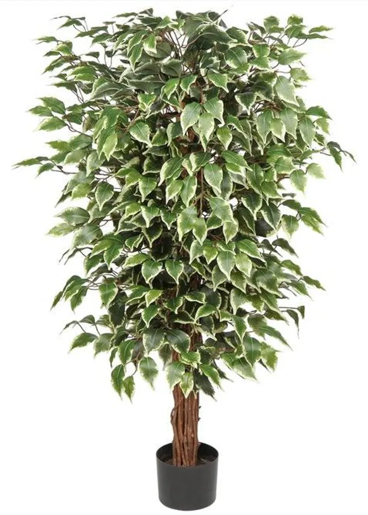 Décoration végétale d'intérieur Ficus artificiel 123 cm tronc bois
