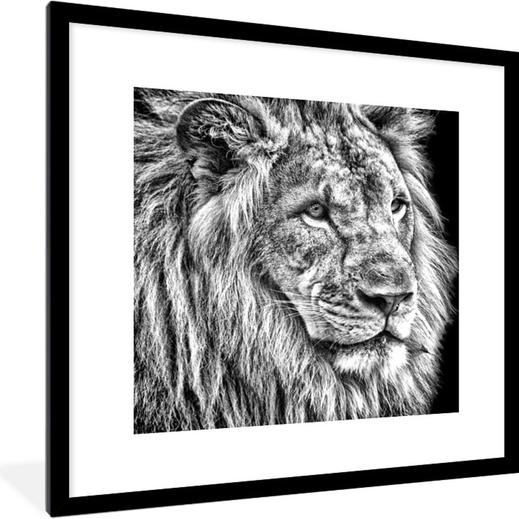 MuchoWow Gerahmtes Poster Porträt - Löwe - Schwarz und weiß 40x40 cm - Poster mit Schwarzem Bilderrahmen Wandposter Rahmen Foto Bilder - Poste...