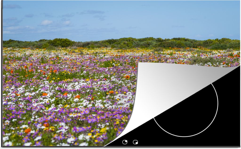 KitchenYeah Herdabdeckplatte Blumenwiese - Lila - Blumen , 81x52cm, Küche Deko, Glaskeramikfeld Herdabdeckung, Abdeckplatte fùr Kochfeld