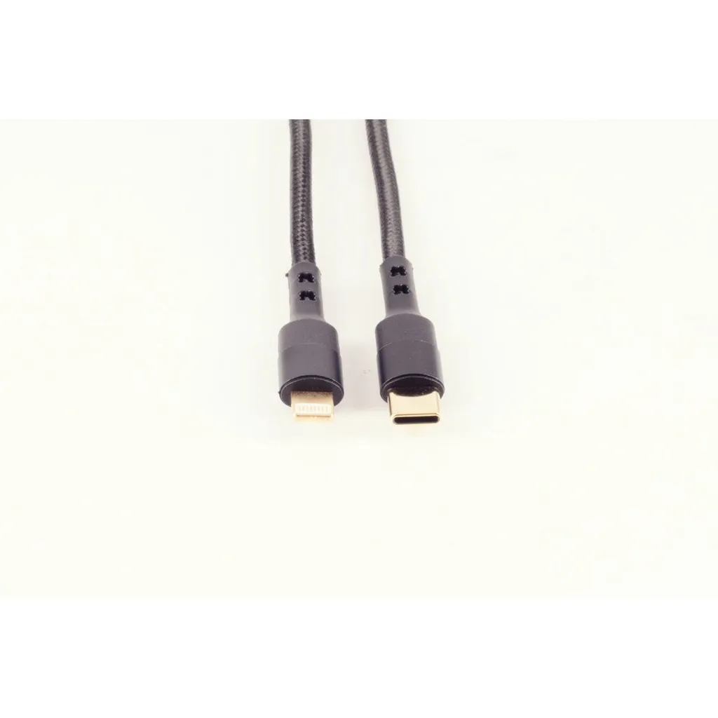 Câble USB-C vers 8 broches 1,0m idéal pour synchronisation et charge